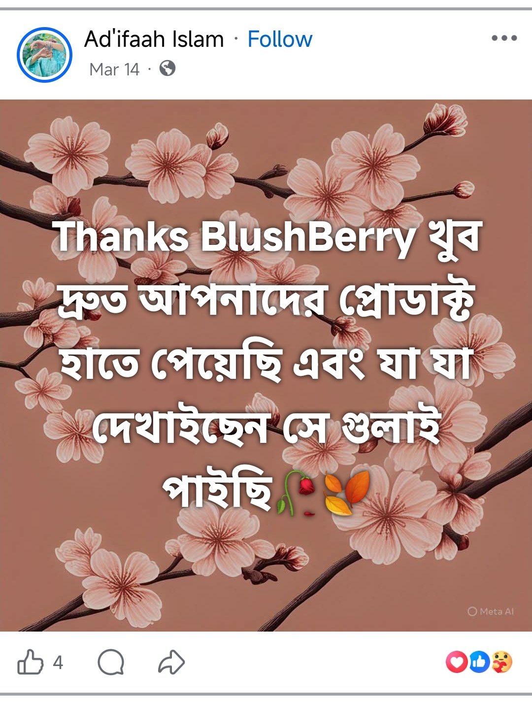 Customer Review